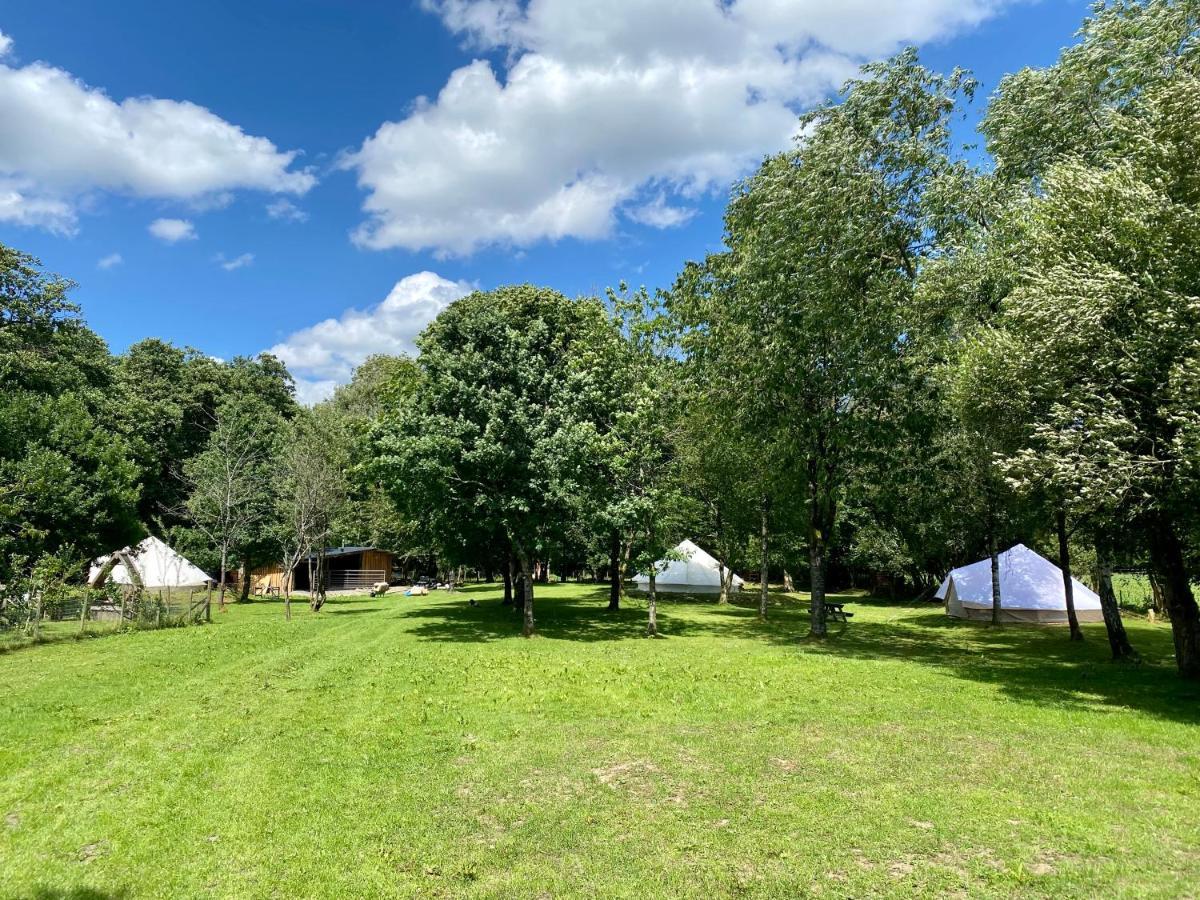 River View Glamping Hotel Llandovery Bagian luar foto